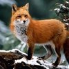 Различные бонусы от online игорного заведения 1Win