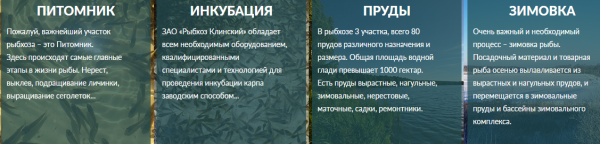 Надежный рыбхоз с многолетней историей и качественной живая рыба оптом