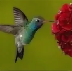 Интерактивные слоты - что означает РТП и волатильность слотов